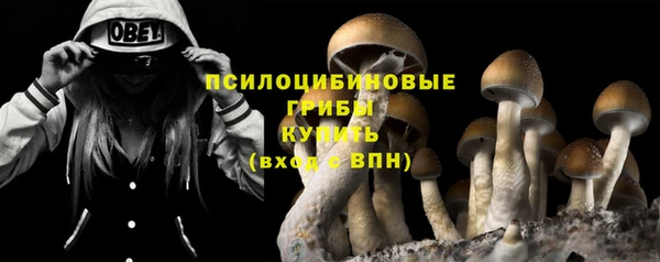 герыч Няндома