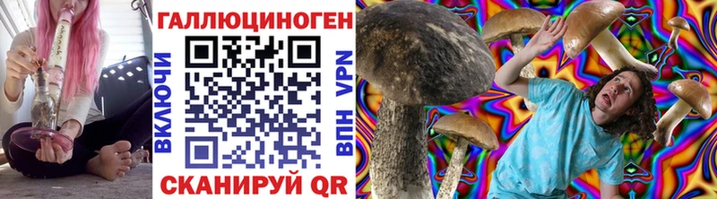 omg ТОР  Кириллов  Галлюциногенные грибы Psilocybe 